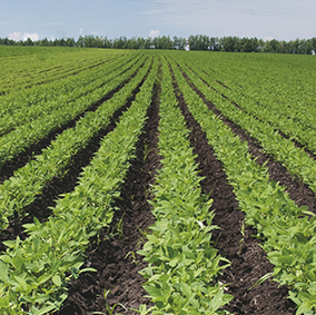 Convenios especiales de financiación con Tarjeta de Crédito Agro 